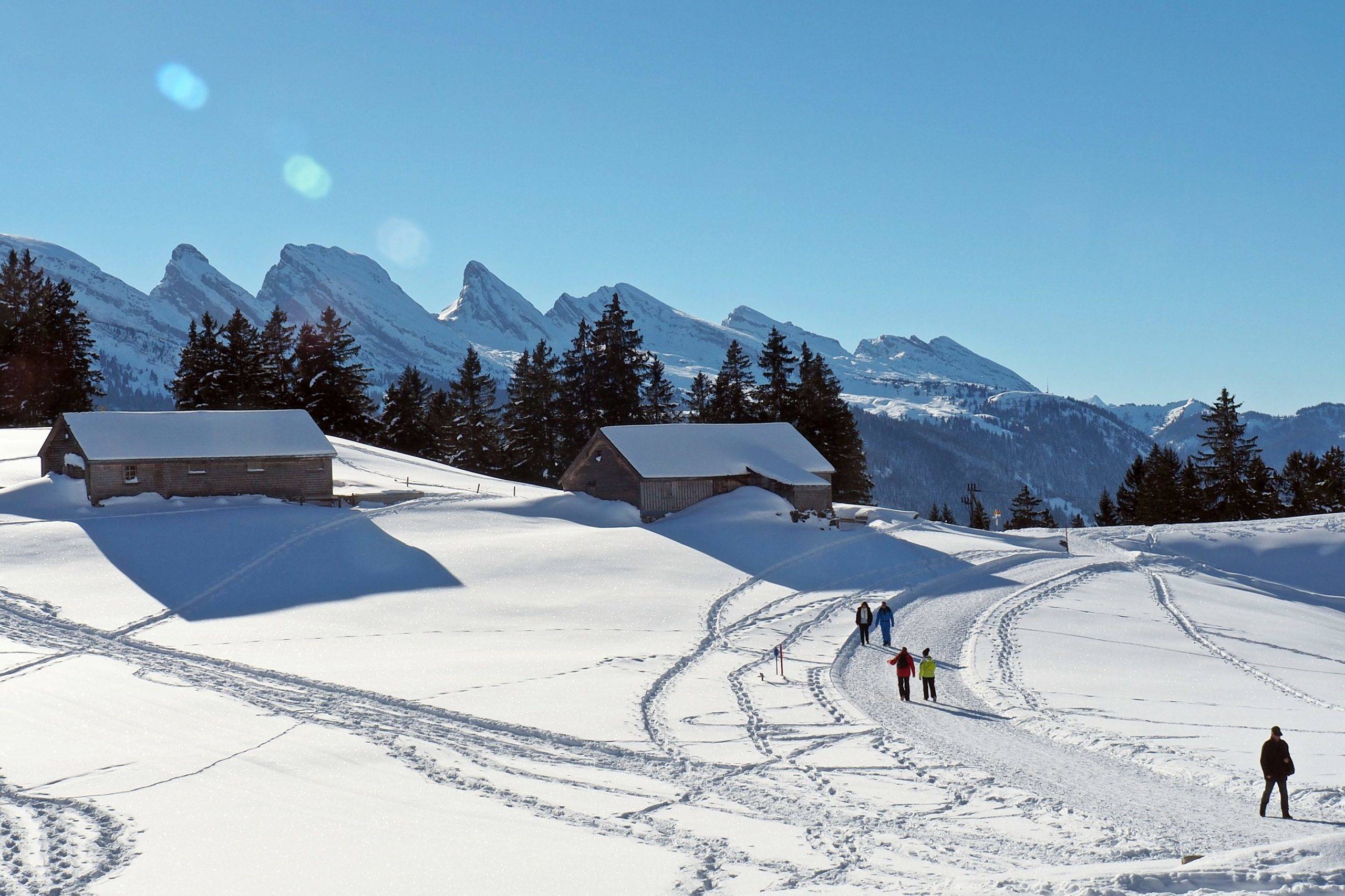 Winterwanderweg (Foto: Stefan Flury)